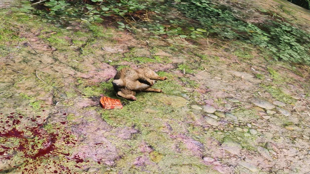 Advanced ped looting screenshot 3