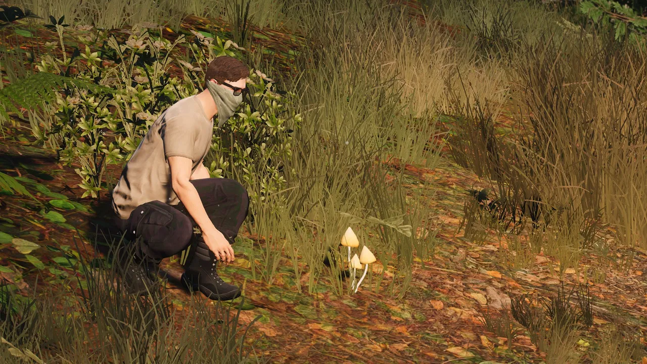Shrooms Cultivation screenshot 10