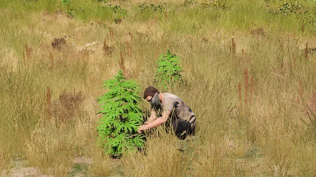Weed Production screenshot 9