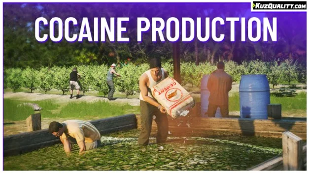Cocaine Production