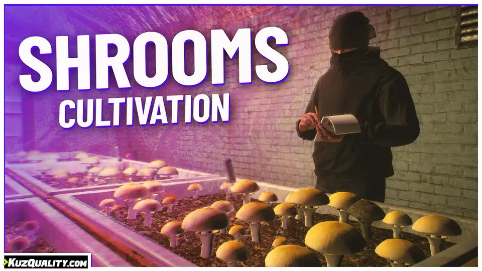 Shrooms Cultivation Video